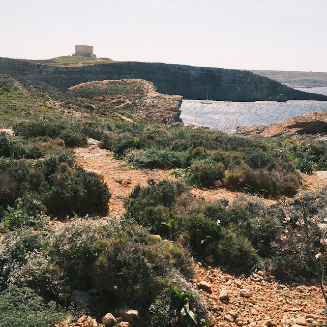 A rugged coastal landscape on Comino Island, Malta, featuring rocky terrain with Mediterranean vegetation in the foreground, a serene inlet leading to the Blue Lagoon, and a Comino Tower visible on the hilltop in the distance.