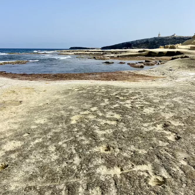 Selmun Palace Circular Walk - Limestone Coast with St Paul's Island in the Background