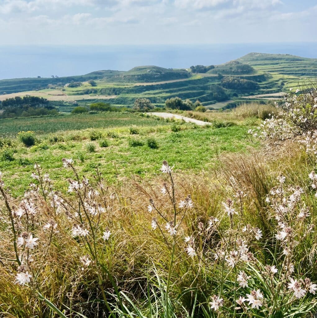 The Best Time to Visit Malta - Ras id Dawwara Malta in Spring