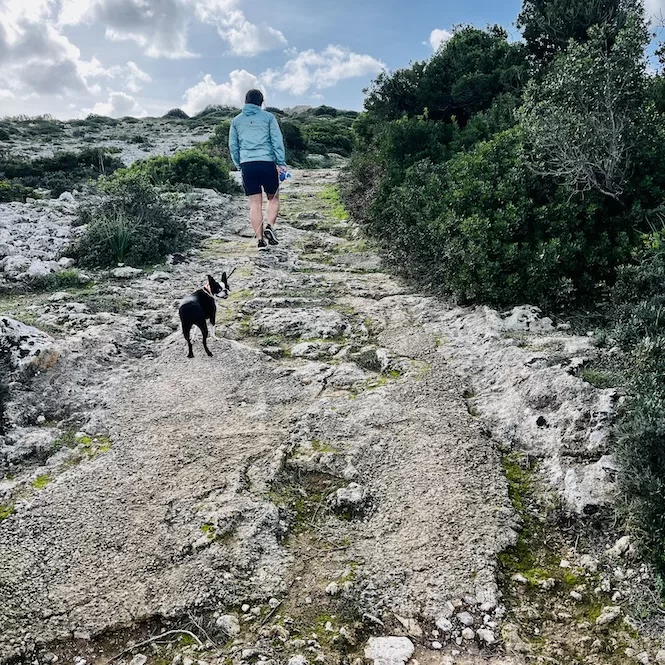 Rocky walking path on the way to Dingli Cliffs