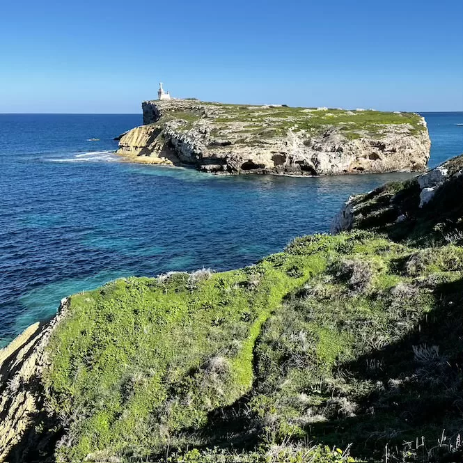Best Hike in Malta - St Paul's Island