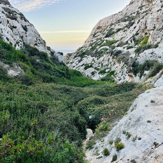 A rugged valley in Malta surrounded by limestone cliffs and lush green vegetation. The winding path leads towards the distant sea, offering a secluded landscape.