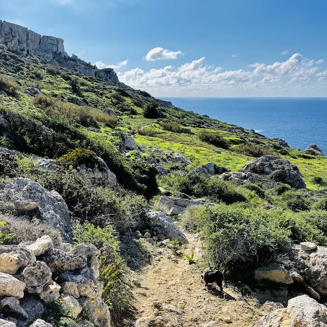 Paradise Bay Hike in Malta