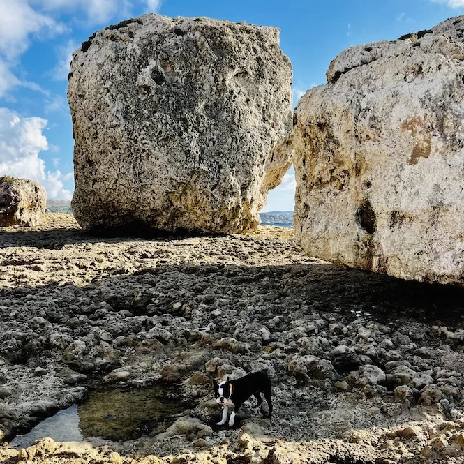 Paradise Bay Hike in Malta