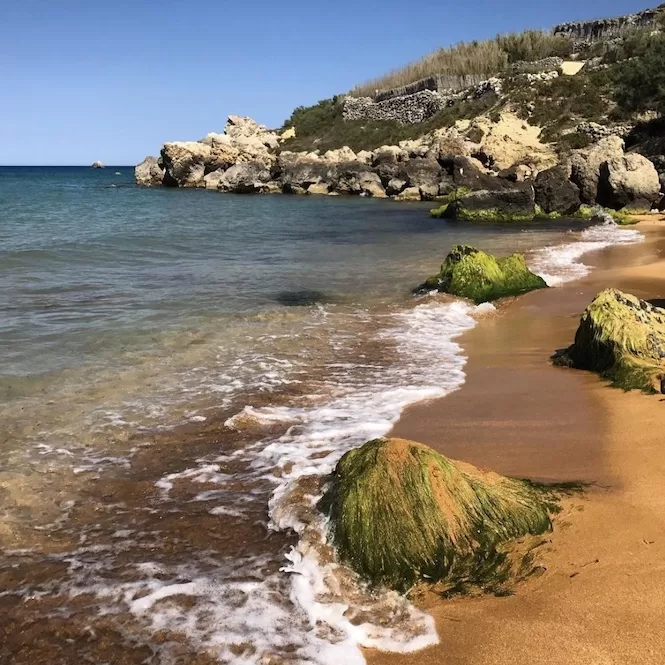 A serene beach scene in Malta with gentle waves lapping onto the shore. Moss-covered rocks dot the sandy beach, adding a natural touch to the landscape. 