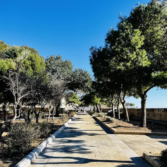 A serene pathway lined with trees under a bright blue sky in the Hastings Gardens, Valletta.