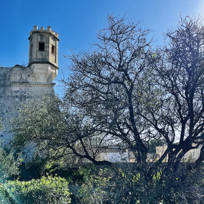 Gardjola Tower rising above the trees in the sunlit Sa Maison Garden.