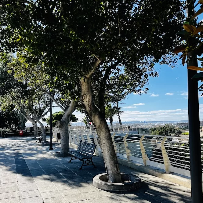 A walkway with benches and trees at Argotti Gardens overlooking the nearby Maltese towns.