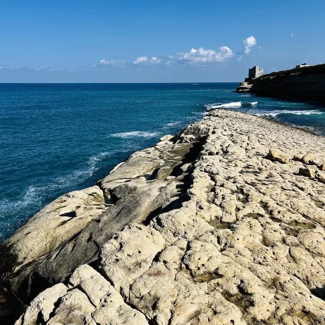 Hike in Malta's South - Rocky Plate next to Munxar Path