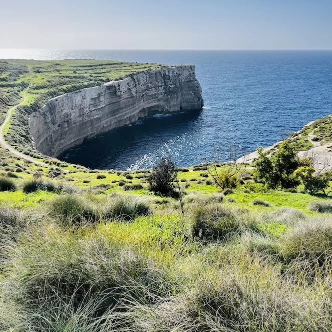 Malta's coastal cliffs of Ras id-Dawwara overlooking the sea with grassy slopes in the foreground.