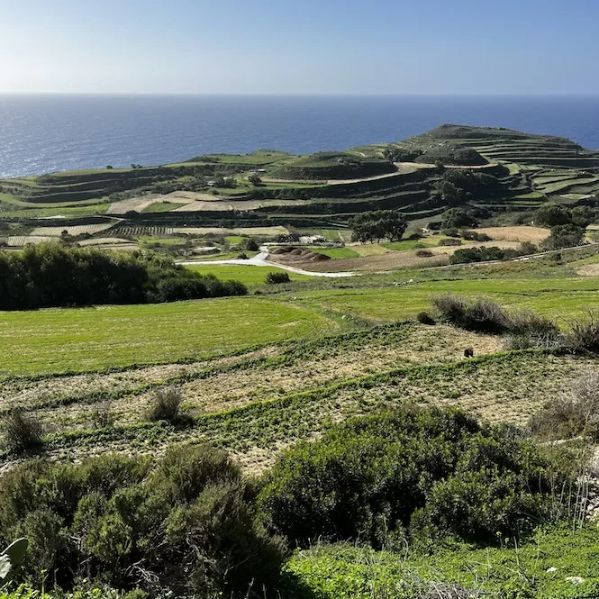 A scenic countryside vista on a hike of Malta's Cliffs with lush green fields, rolling hills, and terraced landscapes leading toward the sea.