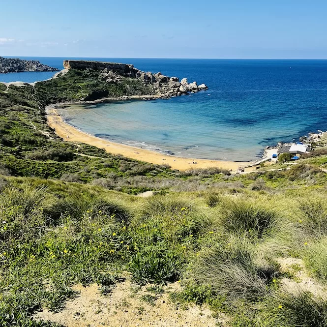 The image shows a scenic coastal area with a sandy Għajn Tuffieħa Beach, rocky cliffs, and a calm blue sea in the background. The foreground features grassy hills with a path running through them, providing a vantage point over the bay and sea scenery.