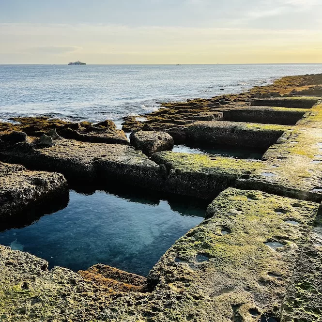 The image depicts Roman baths in Sliema. These are structures cut out in the limestone and partially submerged in water, with algae covering some surfaces. In the background, the sea stretches out towards the horizon, with a ship visible in the distance.