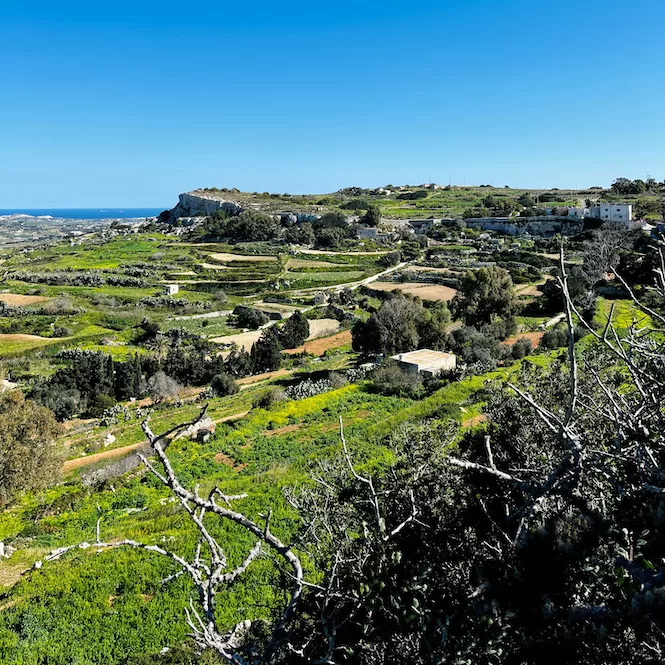 Victoria Lines Malta - A View from Fort Bingemma