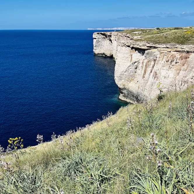 This image captures the stunning cliffs of Il-Blata tal-Melh, overlooking the deep blue sea. The rugged coastline is adorned with lush greenery and wildflowers, creating a picturesque scene.