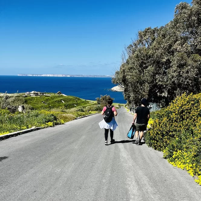 Wwo people are walking along the road from Il-Blata tal-Melh to Fomm ir-Rih Bay, enjoying the scenic view of the sea and blooming spring flowers along the road.