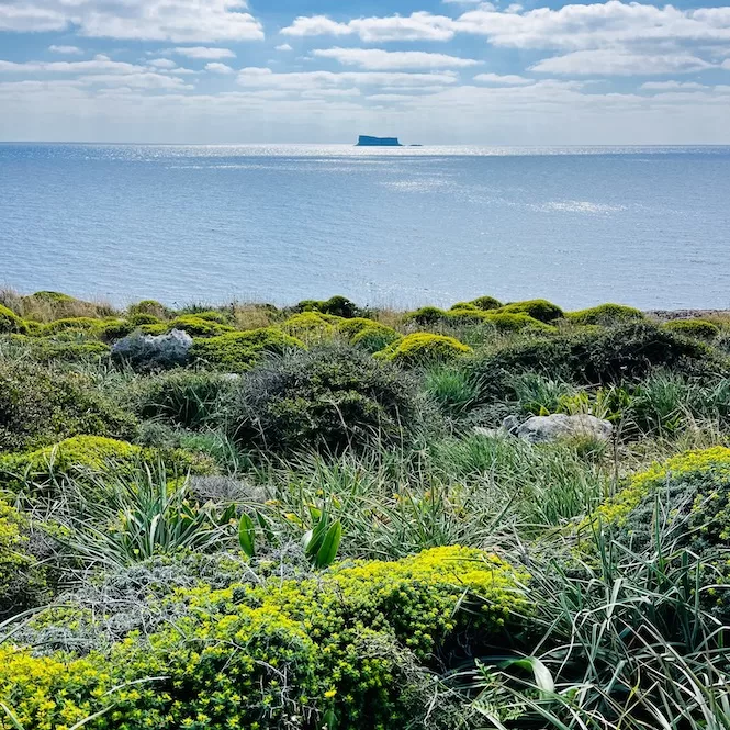 Map of Malta and Gozo - Filfla in a Distance