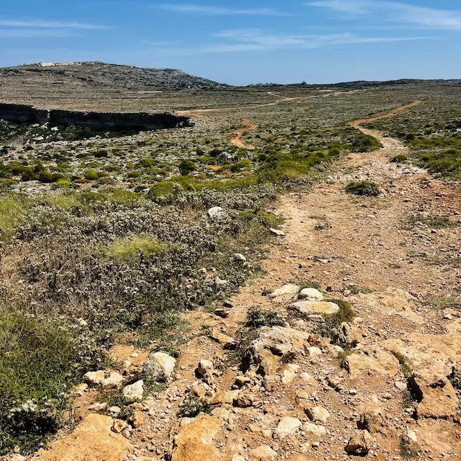 A dirt path winding through the arid landscape of Majjistral Park, with sparse vegetation and rocky terrain under a clear blue sky.