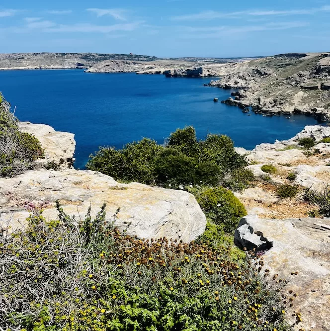 A view of the blue waters of Majjistral Park, framed by rocky cliffs and vibrant greenery in the foreground.