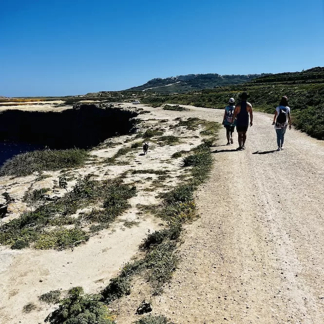 Wied il-Mielah Hike - Coastline Unpaved Road