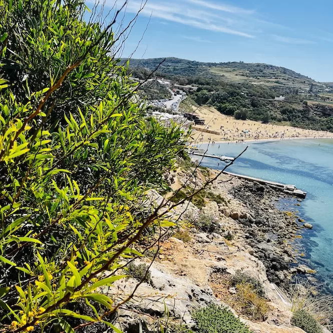 A view from a cliff overlooking a picturesque sandy Golden Bay Beach with clear blue water, surrounded by rugged terrain and vegetation on a sunny day.