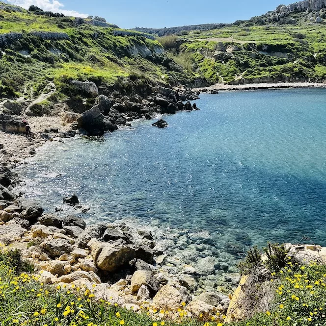 A picturesque view of Imġiebaħ Bay in Malta, with clear waters surrounded by rocky shores and vibrant greenery.