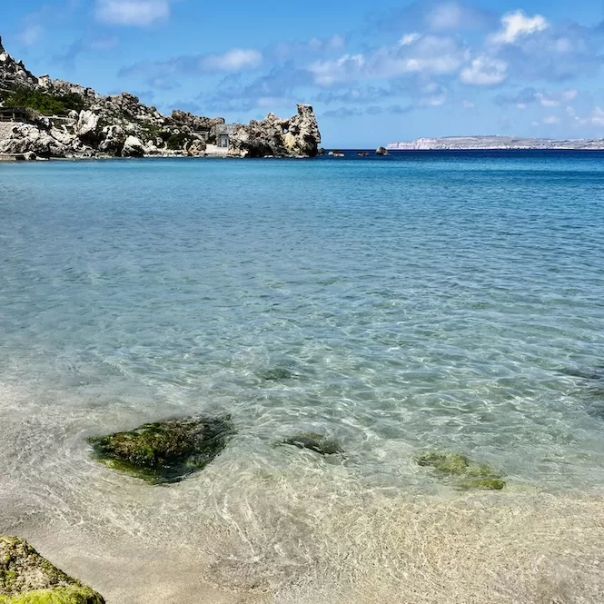 Crystal-clear Paradise Bay Beach waters gently washing over sandy shores with a backdrop of rocky cliffs and a clear blue sky.