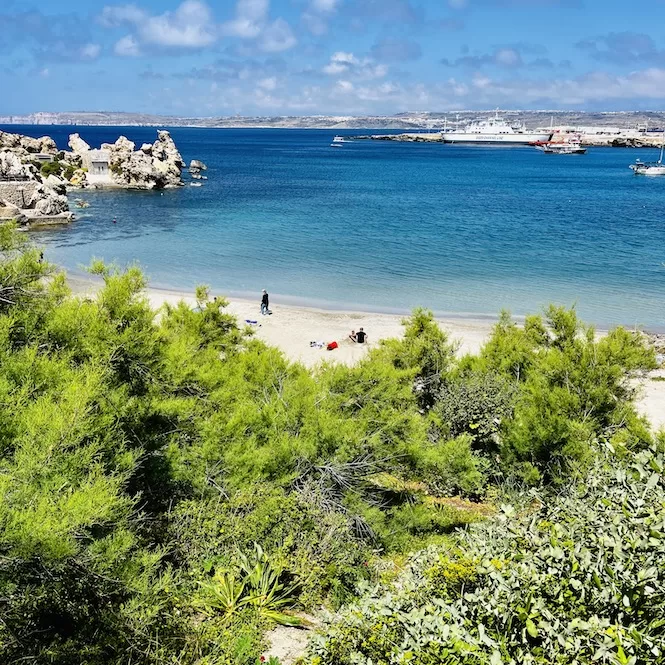 A serene beach scene with lush greenery in the foreground, overlooking calm turquoise waters and a sandy shore, under a clear blue sky. In a distance you can see a ferry and a rocky shoreline of Gozo.