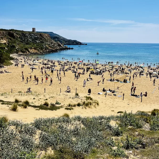 A crowded sandy beach with sunbathers and swimmers enjoying a sunny day. Golden Bay is bustling with activity, with people scattered across the expansive shoreline. Towering cliffs and a distant watchtower frame the picturesque scene, creating a stunning backdrop for beachgoers to relax and soak up the sun on one of Malta's most popular beaches.