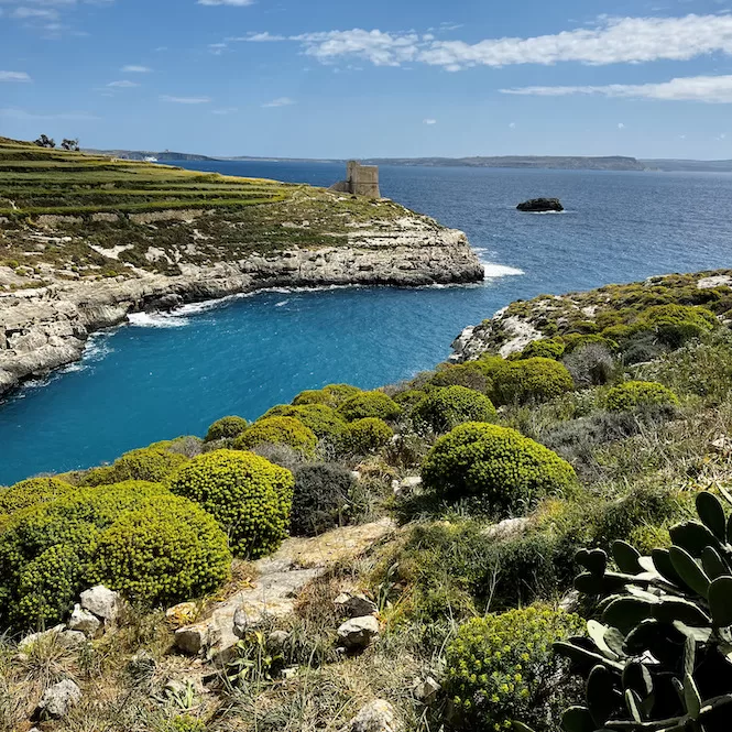 View of the scenic Mgarr Ix-Xini Tower from a distance, surrounded by vibrant greenery overlooking the blue waters of the bay in Gozo, Malta.