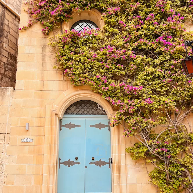 Mdina, The Silent City of Malta - Romantic Spot in Mdina - Blue Door and Flowers on the Wall