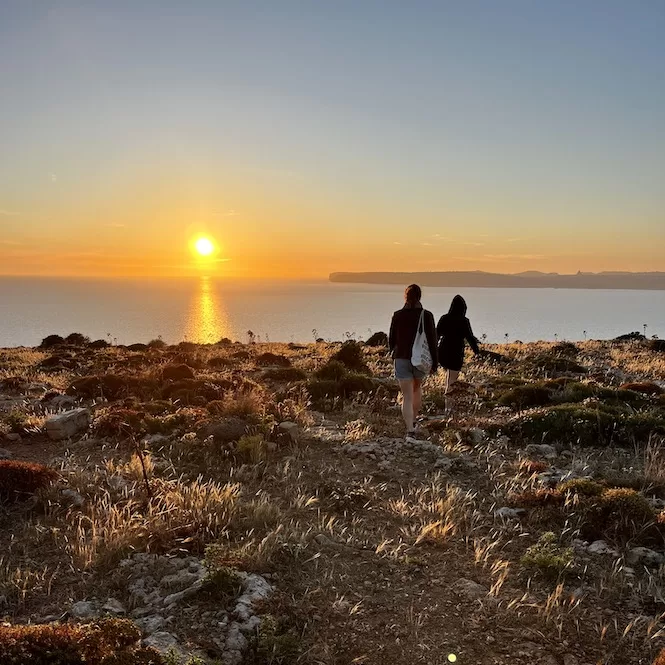 Two people walking hand in hand through a golden field, with the sun setting over the sea in the distance. This scene captures the beauty of the sunset near the Red Tower area next to the radar station in Malta.