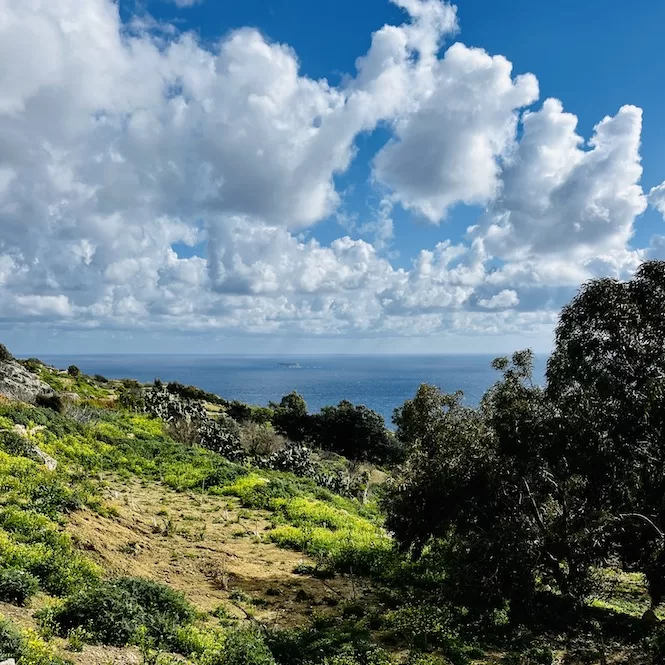 A scenic view of a green landscape with various plants and trees. The sky is partly cloudy with fluffy white clouds, and the sea can be seen in the distance.