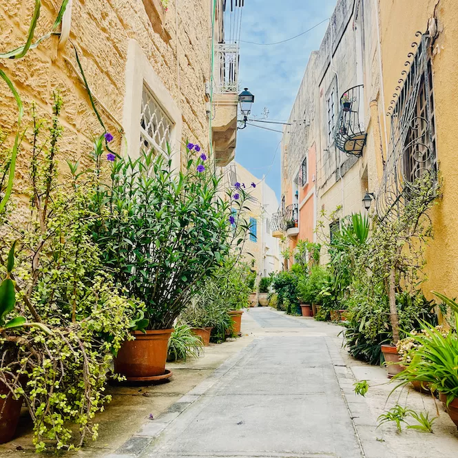 A serene old street in Naxxar, Malta, lined with vibrant potted plants and traditional Maltese buildings, capturing the essence of Mediterranean charm.