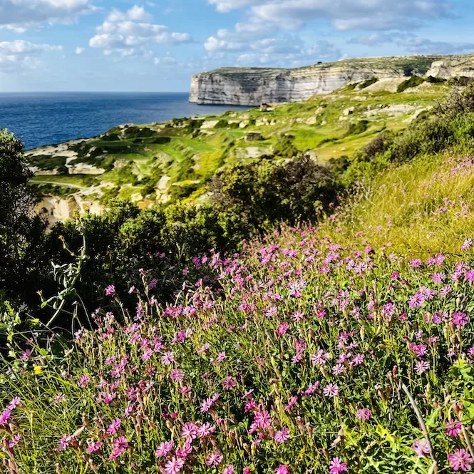 Gozo Hiking Trails - Mgarr Harbour to Xlendi Hike in Spring