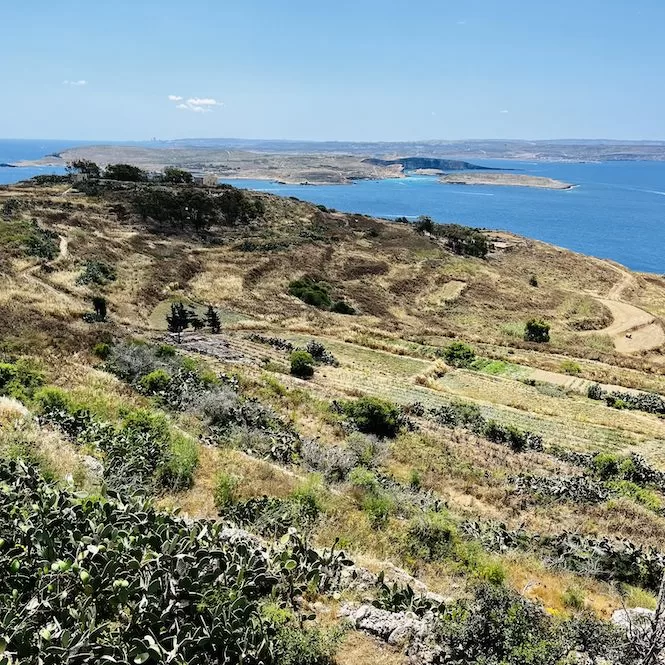 Hike from Mgarr Harbour to Hondoq Bay - A View From Il-Bukket Restaurant