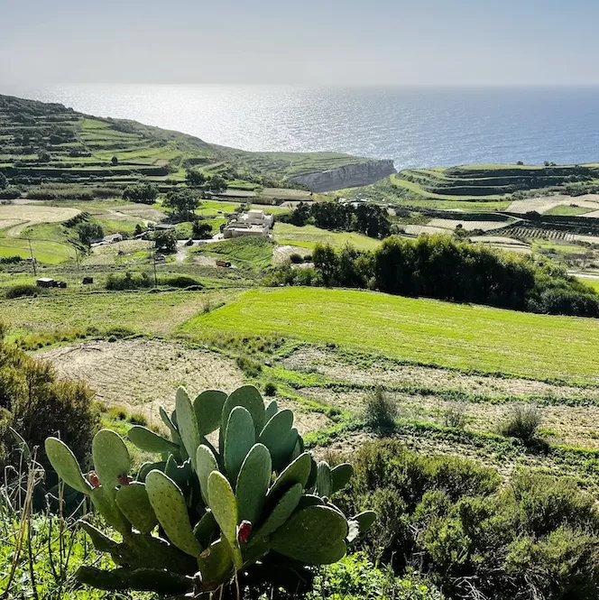 Malta in December - Green Countryside