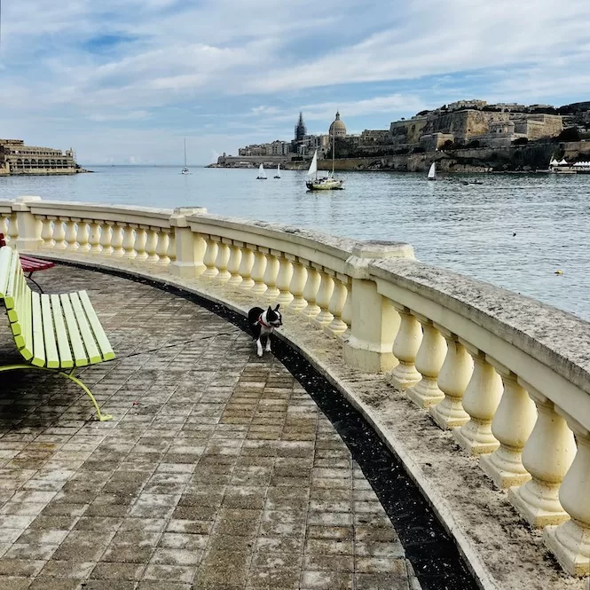 Ta'Xbiex Promenade with Valletta Views