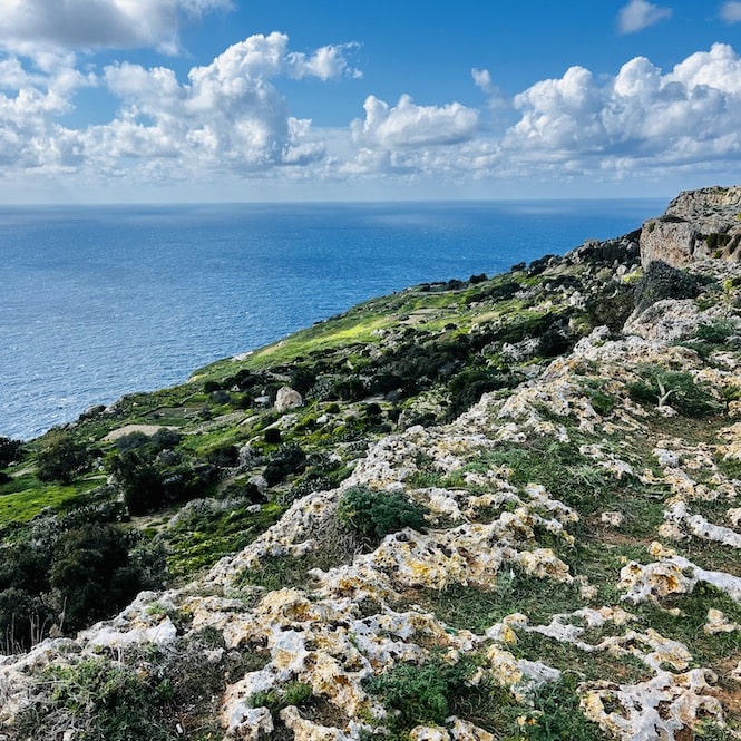 Dingli Cliffs with a lush green slope leading to the blue sea