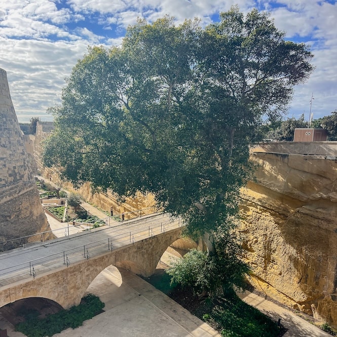 What to do in Valletta - Ġnien Laparelli Gardens