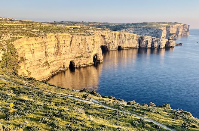 The cliffs looking beautiful in the golden sunset, with lush greenery in the foreground. You can see them while hiking around Gozo.