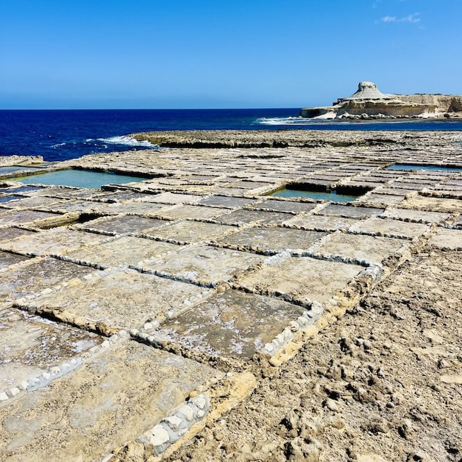 Series of shallow, checkerboard-like holes carved into the limestone rock. These are Gozo salt pans seen along the hike around Gozo.