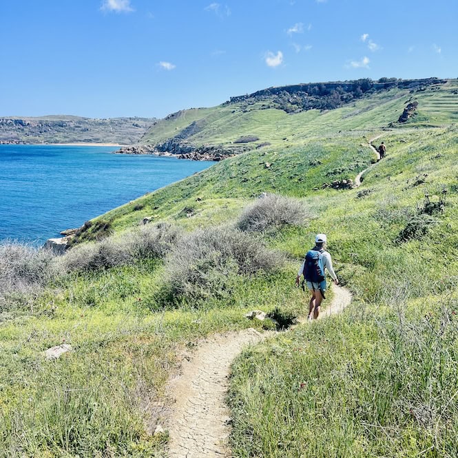 A hiker is walking down a green hiking path. The path winds up and down between Marsalforn and Ramla Bay.