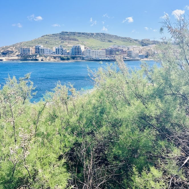 Scenic view of the rugged coastline and clear blue sea in Marsalforn, Gozo, Malta, with apartment buildings visible in the distance.