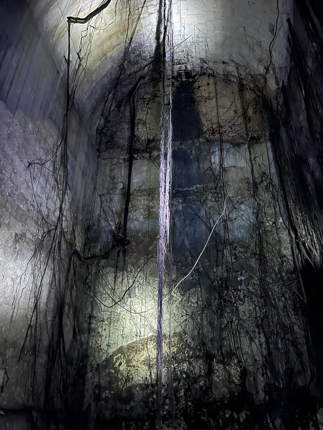 Mysterious underground cavern in Valletta, Malta, with stone walls, dangling roots, and dim lighting, part of the city's subterranean network and a unique tourist attraction.