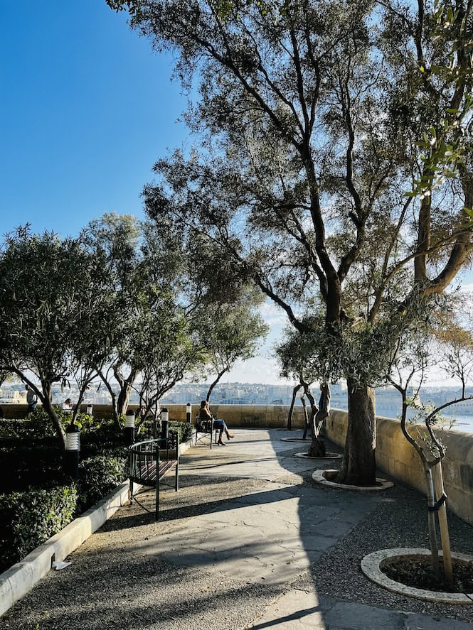 Tree-lined walkway in Lower Barrakka Gardens overlooking the sea, a scenic Malta tourist spot.