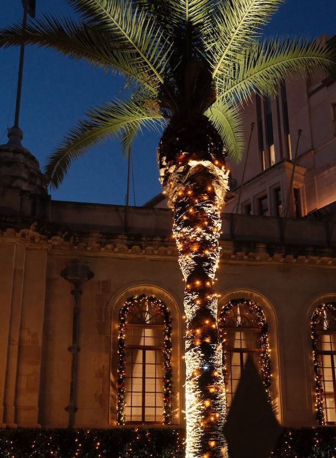 Palm tree wrapped with festive lights in front of the Phoenicia Hotel, decorated with Christmas garlands and lights on the windows at dusk.