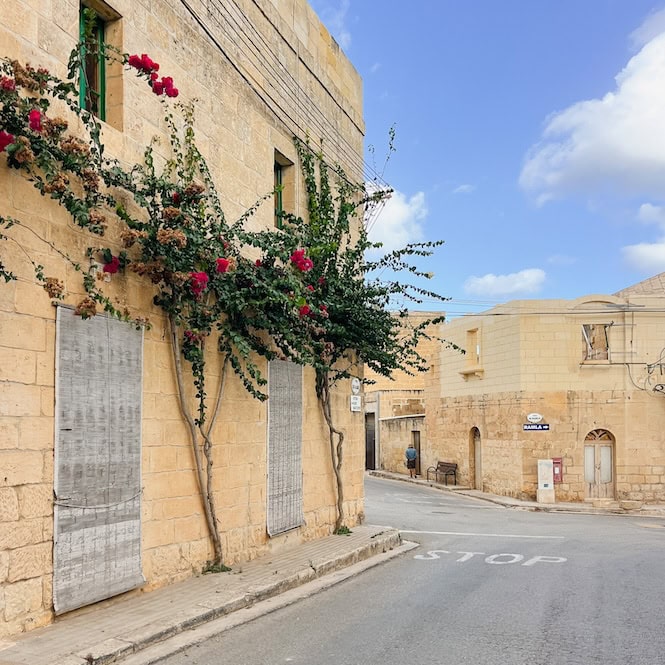 Charming stone buildings with blooming bougainvillea on a quiet street in a Maltese village under a clear blue sky – a serene view of Malta's local architecture.