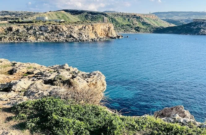 Dramatic coastal cliffs of Malta in February, with vibrant greenery and deep blue waters.