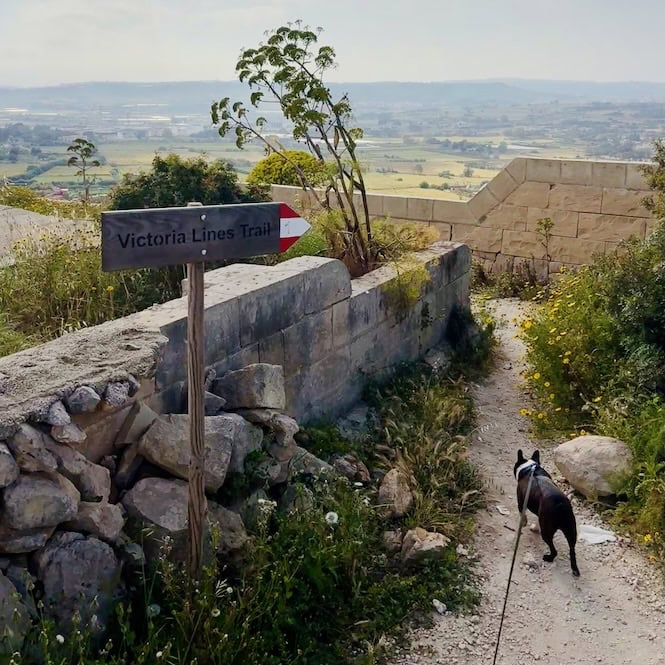 Victoria Lines Trail sign with red arrow marker and dog on lead near Fort Madliena, Malta